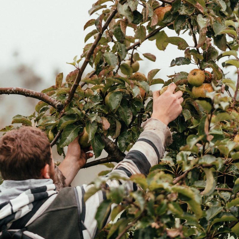 A shop full of GROWERS, FARMERS and MAKERS