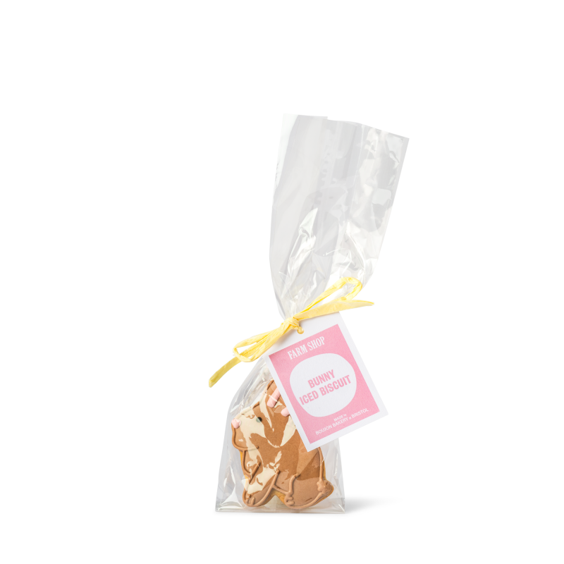 Brown Bunny Iced Biscuit